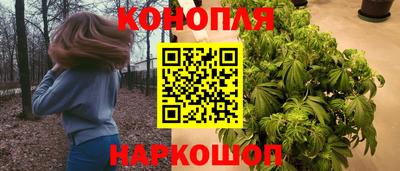 сатива Аша