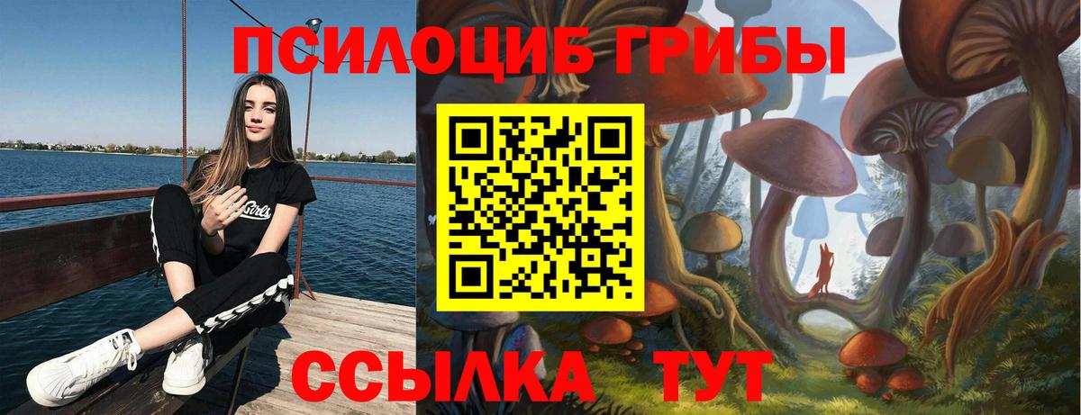 Богородск  Псилоцибиновые грибы MAGIC MUSHROOMS  Вход с VPN 