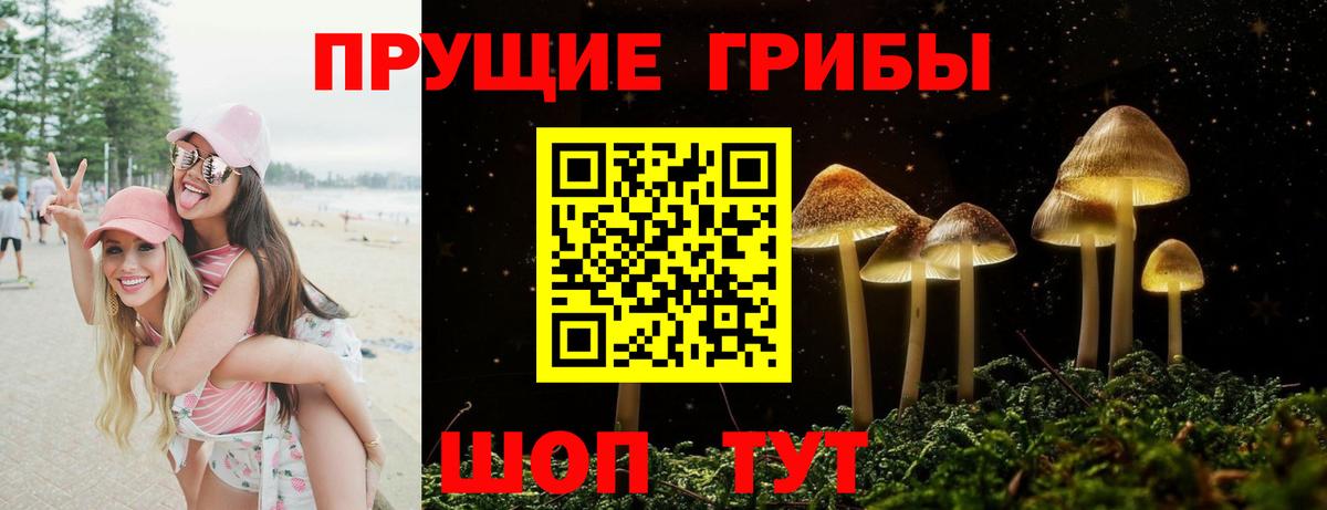 Галлюциногенные грибы GOLDEN TEACHER Богородск